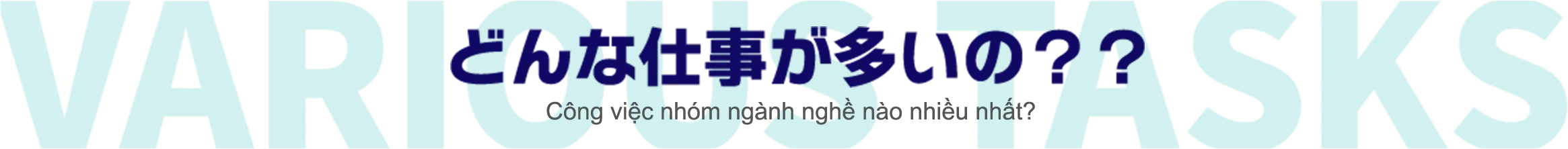 どんな仕事が多いの？？