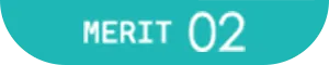 MERIT02
